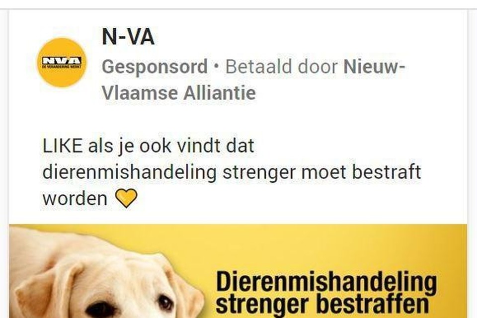 De N-VA was goed voor twee advertenties die veruit het duurst waren. Deze was 175.000 euro. 