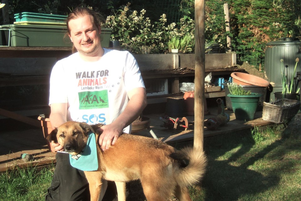 Jurgen Michiels haalde zijn hond Yzy in Roemenië en wandelt nu voor SOS Stray Dogs richting Wéris. “230 kilometer in tien dagen”, klinkt het. 