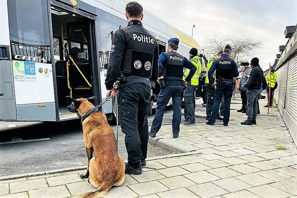 AI, entrance gates and higher fines: De Lijn is launching action plan against black driving
