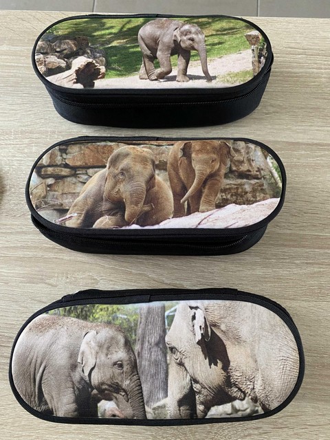 Pencil cases have also been made with Qiyo as the fashion model. 