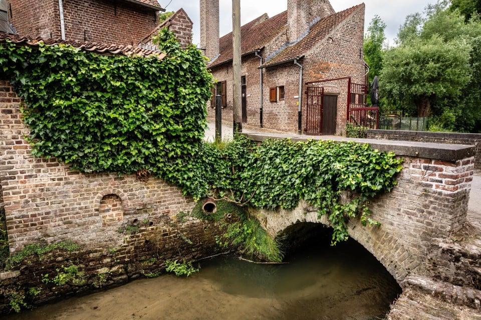 202505, Copyright Kristof Vadino, Water pollution, River, Molenbeek River, Sint-Genesius Rode to Beersel, discharge Waste water, Polluted Water