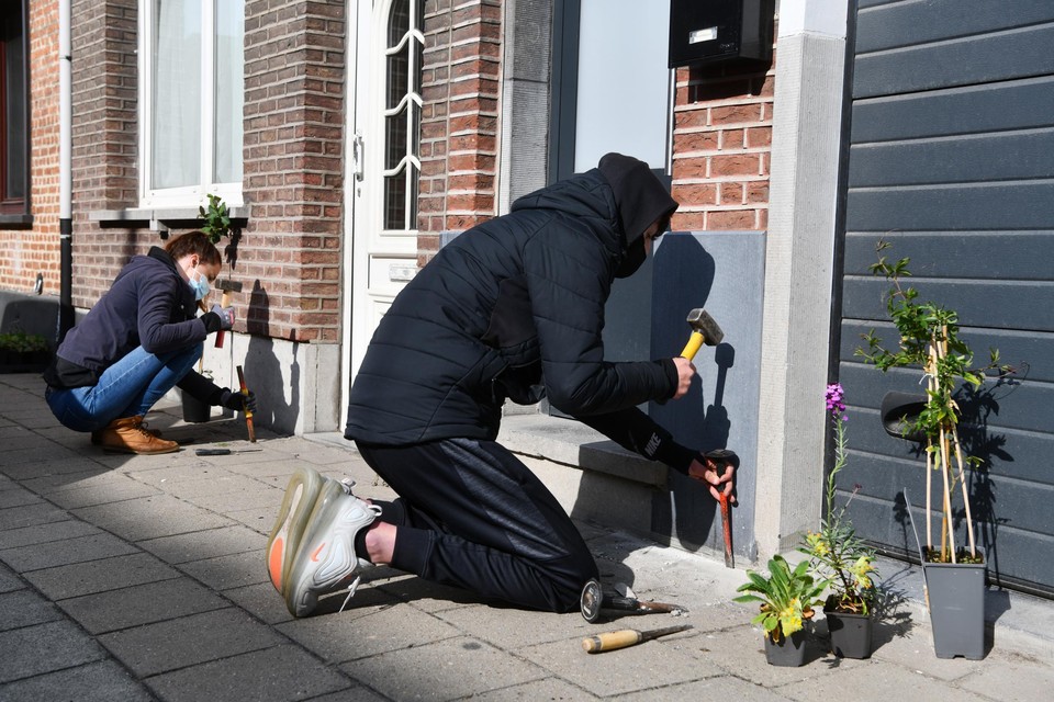 Dorpslijst Sander dringt erop aan versneld werk te maken van ontharding met onder meer gevelbeplanting, zoals hier in Hoboken.