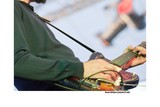thumbnail: null