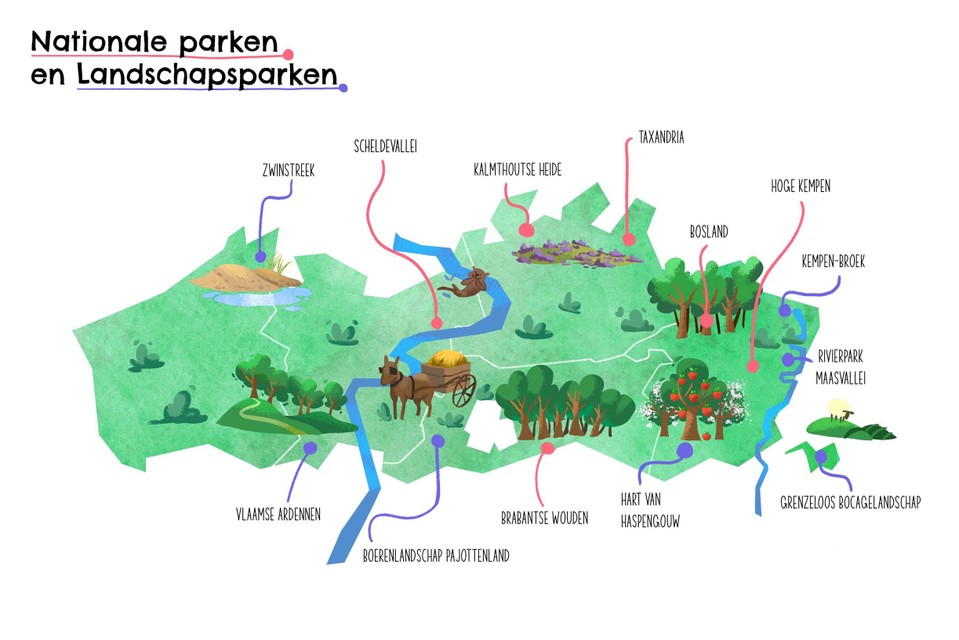 De Vlaamse kandidaten die nu een masterplan mogen opstellen voor Nationaal Park (rood) en Landschapspark (blauw). 