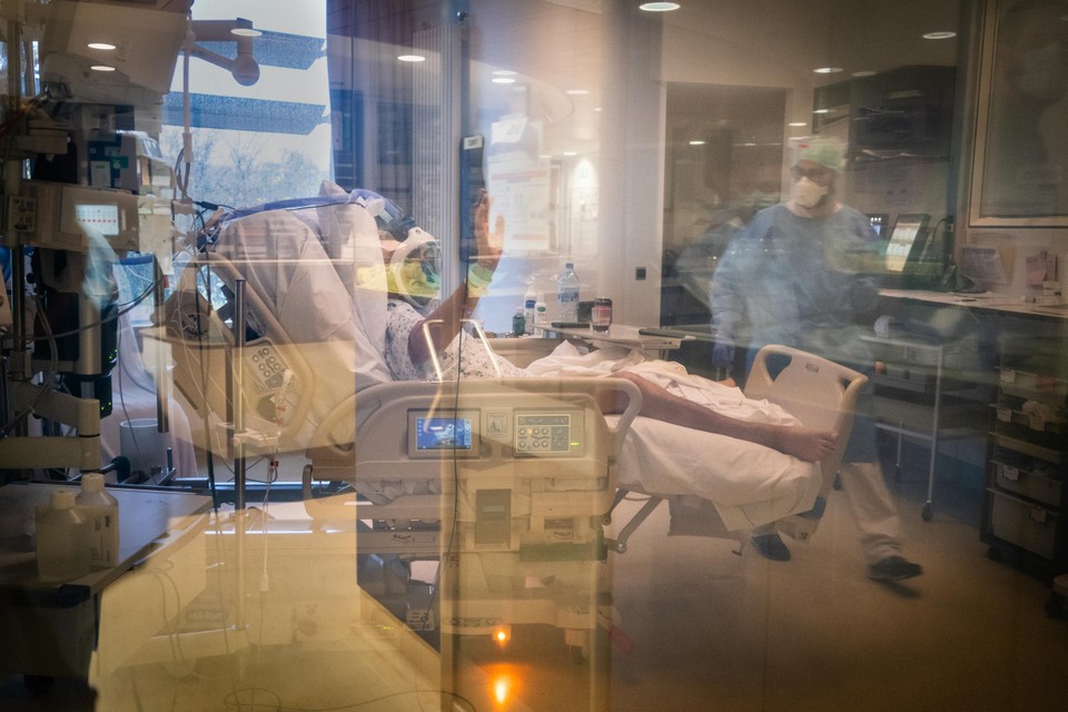 De afdeling intensieve zorg van het Mont-Godinne-ziekenhuis in Namen. Het merendeel van de IC-patiënten in Wallonië is niet-gevaccineerd, terwijl het in Vlaanderen andersom is. 