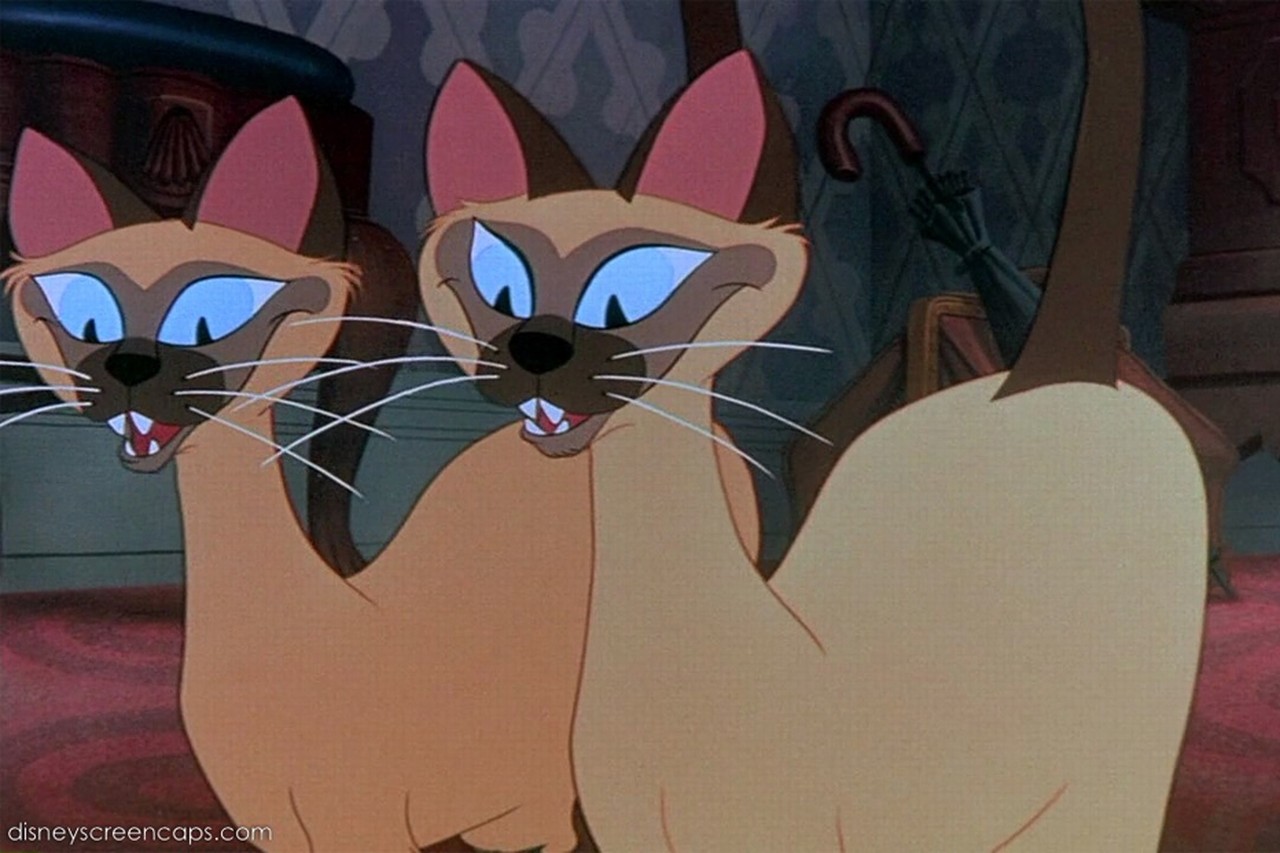 Kortfattet Bungalow Borgmester Disney schrapt 'racistische katten' uit 'Lady en de Vagebond': “Goed zo” |  Het Nieuwsblad Mobile
