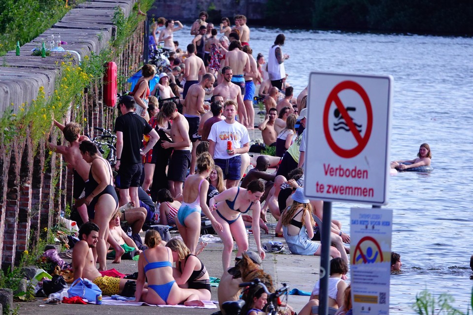 Zwemmen in het Houtdok is populair, maar verboden. En het blijft verboden.