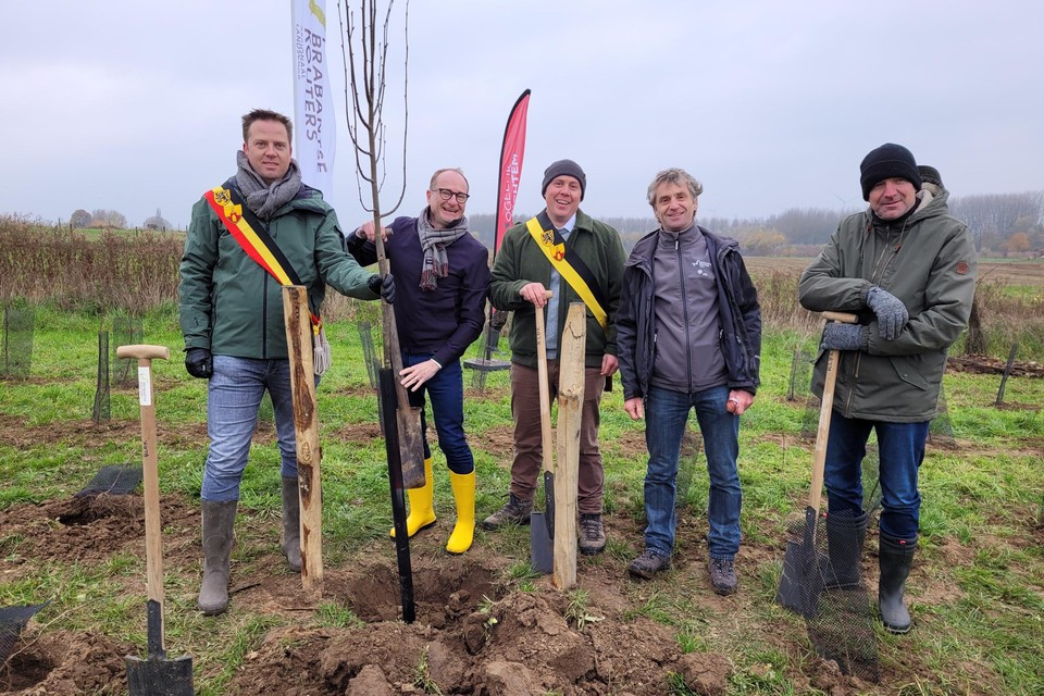 Ook burgemeester Maarten Mast, Vlaams minister Ben Weyts en schepen Toon Luypaert plantten een boompje in het Voedselbos. 