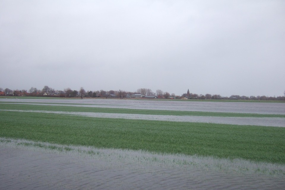 Grote delen van de Isabellapolder aan de Landsdijk in Bassevelde staan momenteel blank. 