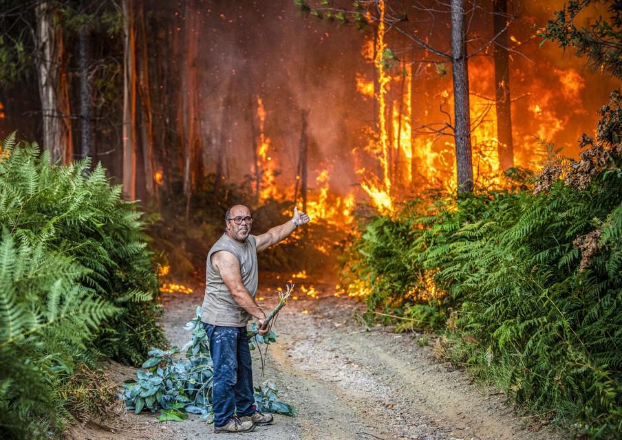 Een man probeert met een tak het vuur te lijf te gaan in centraal-Portugal. 