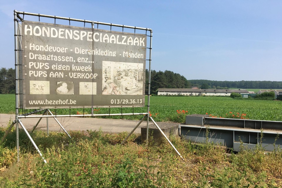 Op de grens van Diest en Lummen heeft Rudi Guedens al een hondenfokkerij. Nu wil hij in Molem (Lummen) nog een tweede uitbouwen. 