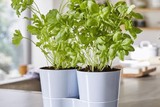 thumbnail: Kruidenpot voor twee plantjes - Mepal - 14,99 euro