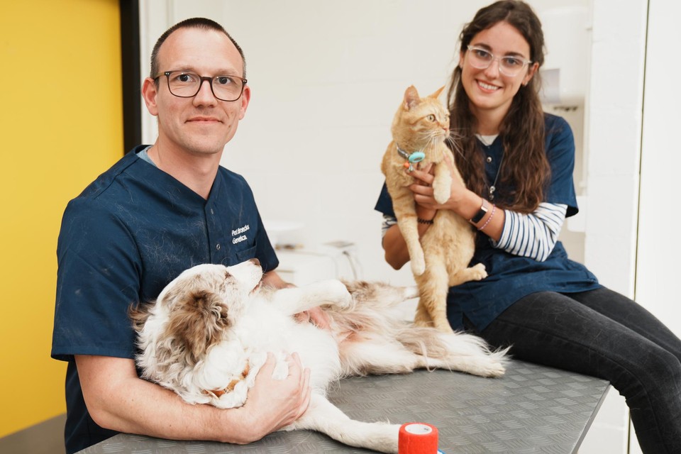 Prof. Bart Broeckx en dierenarts Laura Adant van de afdeling Genetica doen onderzoeken op honden en katten