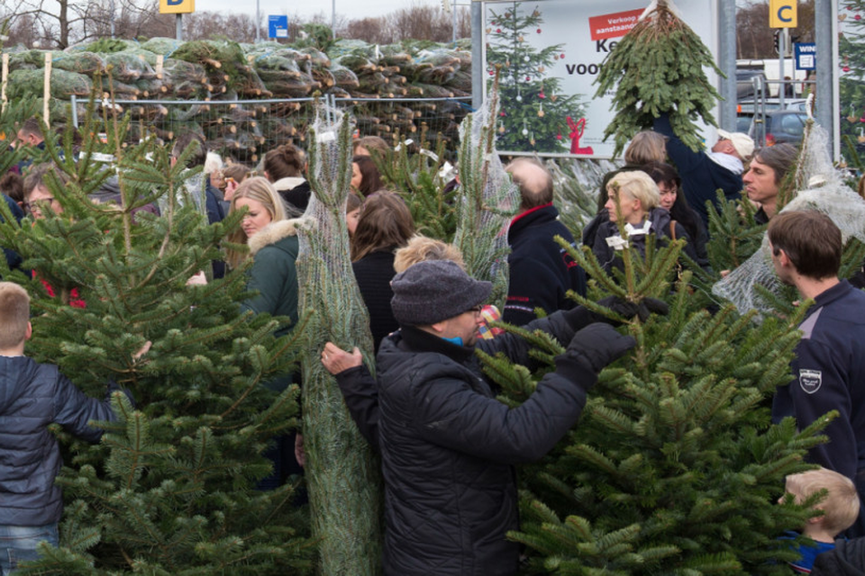 grootmoeder Ramkoers blozen Ikea verkoopt dit jaar geen kerstbomen | Het Nieuwsblad Mobile
