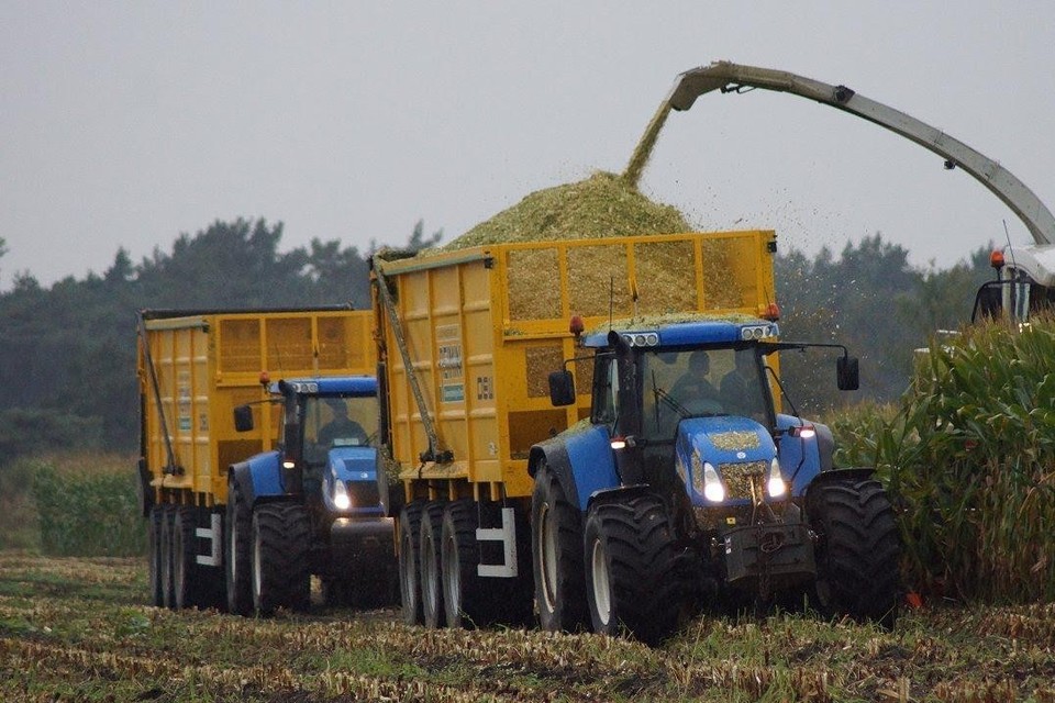 Boeren in Arendonk en Oud-Turnhout kunnen de strijd tegen droogte en wateroverlast aanbinden. 