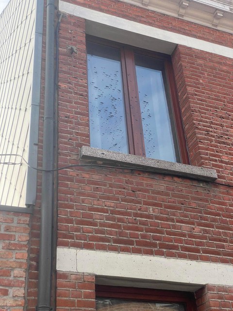 De situatie in Halle-Dorp was erover.