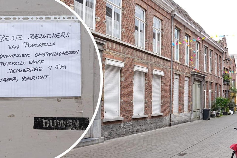 Food agency closes Poverello due to mouse problem: « painful, but we can’t take any risks » (Ghent)