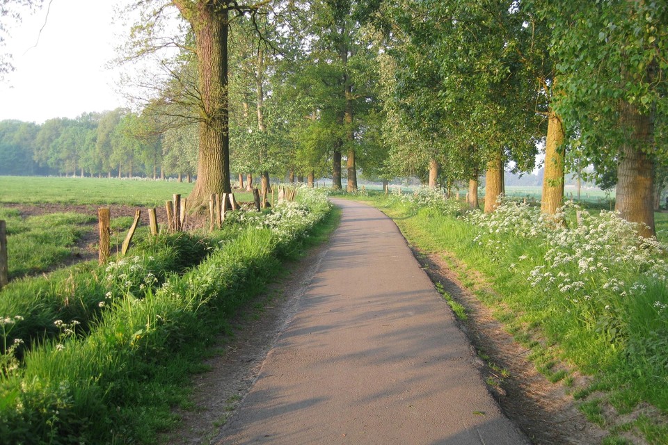 In de zomer is het zalig fietsen langsheen de Bruidsweg. Het fietspad is te smal en zal tot 3 meter verbreed worden. 