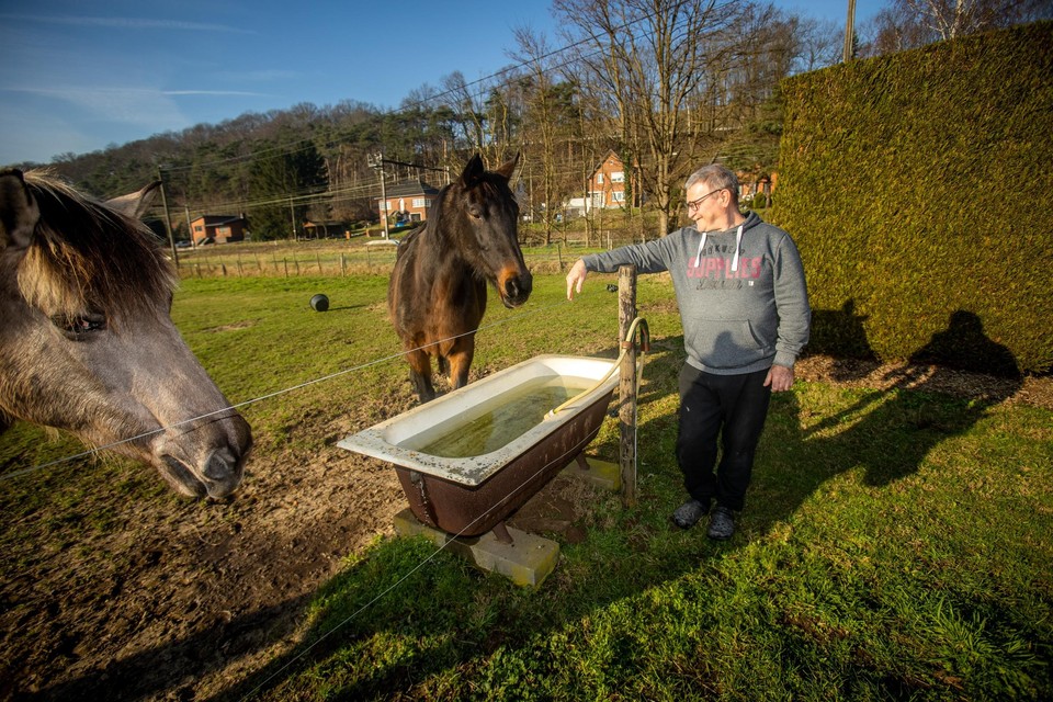 Al bijna twintig jaar drinken Erwins paarden opgepompt grondwater. “Ze zijn nog nooit ziek geweest, dus zo erg zal het allemaal wel niet zijn.”