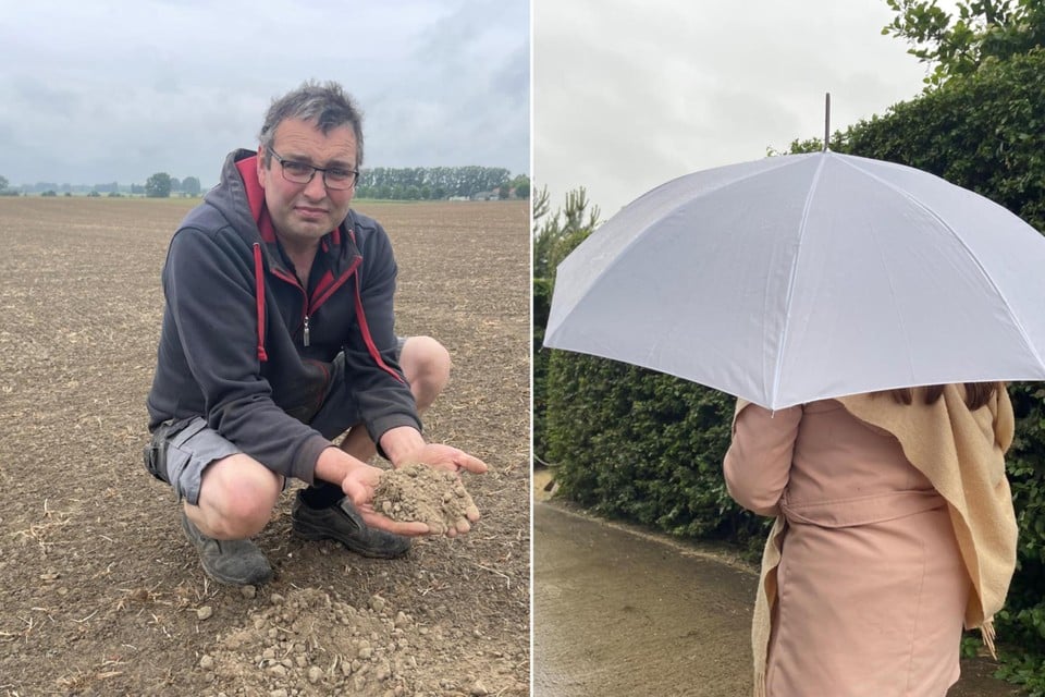 First rain finally falls, farmer Karel (43): « Every drop counts, but it must be much more » (inland)