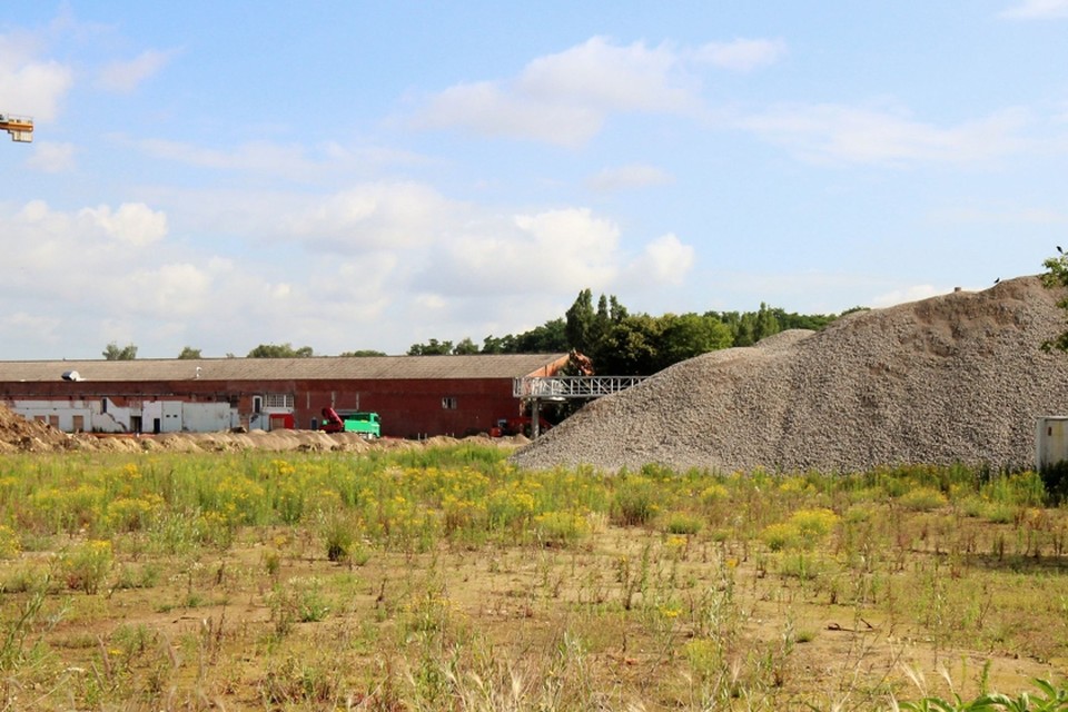 Onder de toekomstige verkaveling Minerve komt een buffer voor regenwater