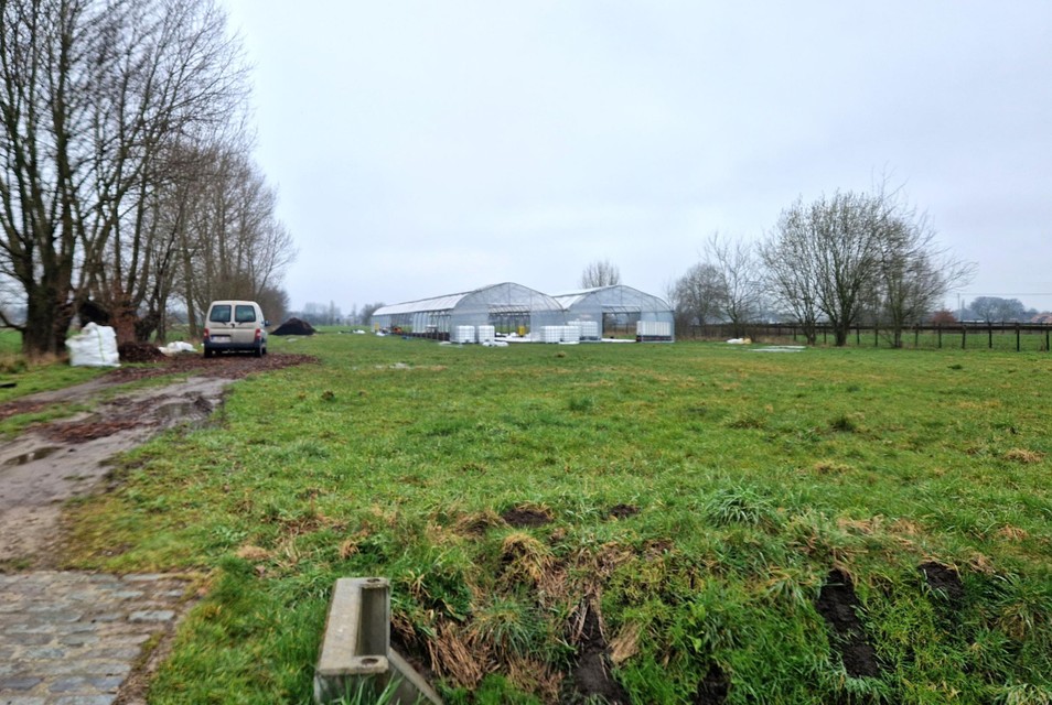 De grote serretunnels verraden meteen het werk van Lien.