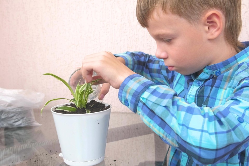 Planten in de klas gaat voor betere schoolresultaten 