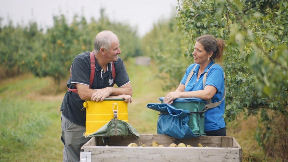 Alberic maakt de vrouwen wegwijs tussen de fruitbomen.