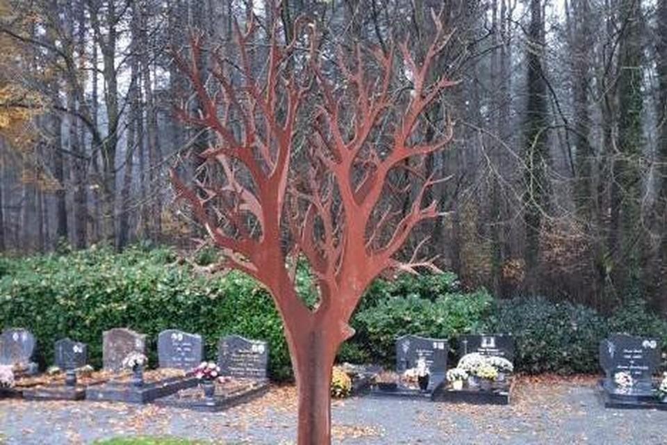 Archiefbeeld: sinds eind vorig jaar zijn alle Herseltse begraafplaatsen uitgerust met een sterrenboom, ook die in Blauberg.