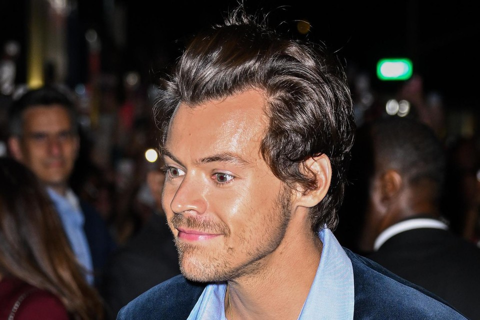 Harry Styles 