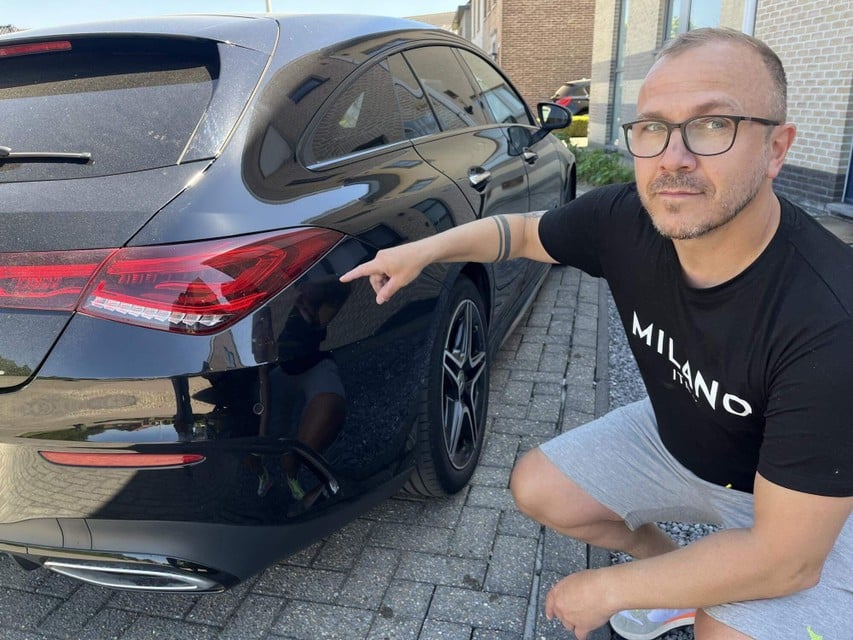Zwerfpauw attacks cars because he wants to expel his mirror image: « Extremely difficult animals to catch, they can take off like a helicopter » (Ranst)