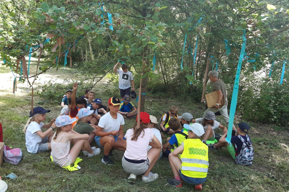 De kinderen leren spelenderwijs natuur en erfgoed in Bos t’Ename ontdekken. 