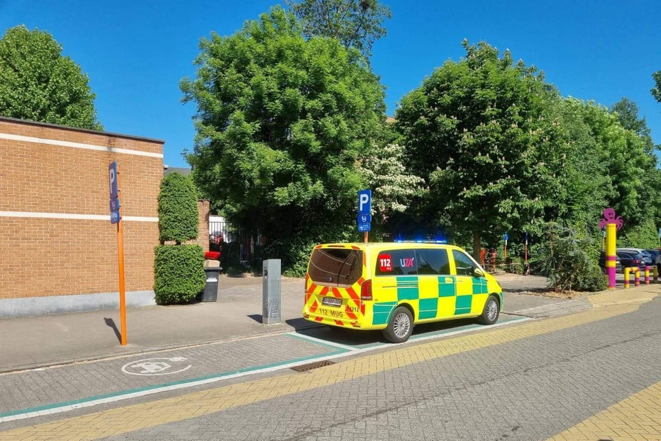 Six primary school students in Boom unwell: « Public drinking fountain closed as a precaution » (tree)