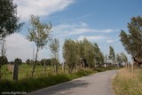 thumbnail: null
