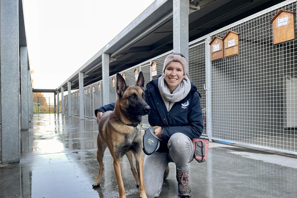 Stefanie Brandt met Mechelse herder Nox: “Jammer genoeg leeft het beeld dat alle honden in het asiel een rugzak hebben, dat er iets mee scheelt. Dat is natuurlijk niet zo.” 
