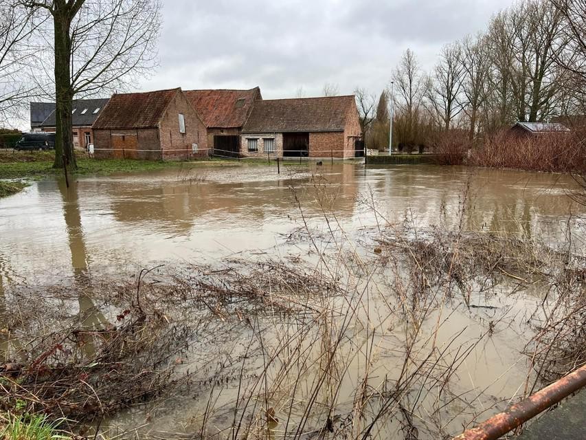 Het waterpeil van de Molenbeek in Wichelen is door de regenval behoorlijk gestegen