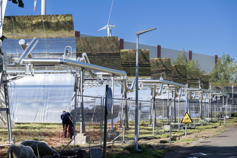 De zonnespiegels bij Avery Dennison in Turnhout staan op een oppervlakte van 5.540 vierkante meter.