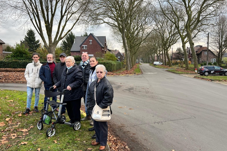 De groep buurtbewoners die de kap van platanen wil laten verbieden, krijgt nu bijval van Vlaams minister van Omgeving Zuhal Demir. 