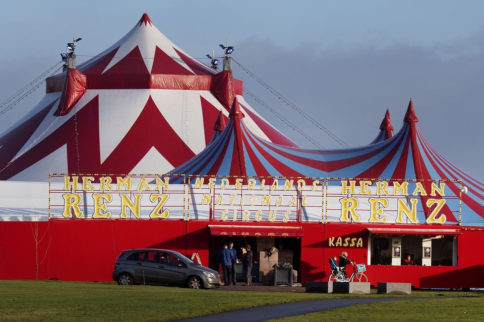 Drie broers uit bekende circusfamilie opgepakt in Nederland voor poging tot moord met stokken en | Het Nieuwsblad Mobile