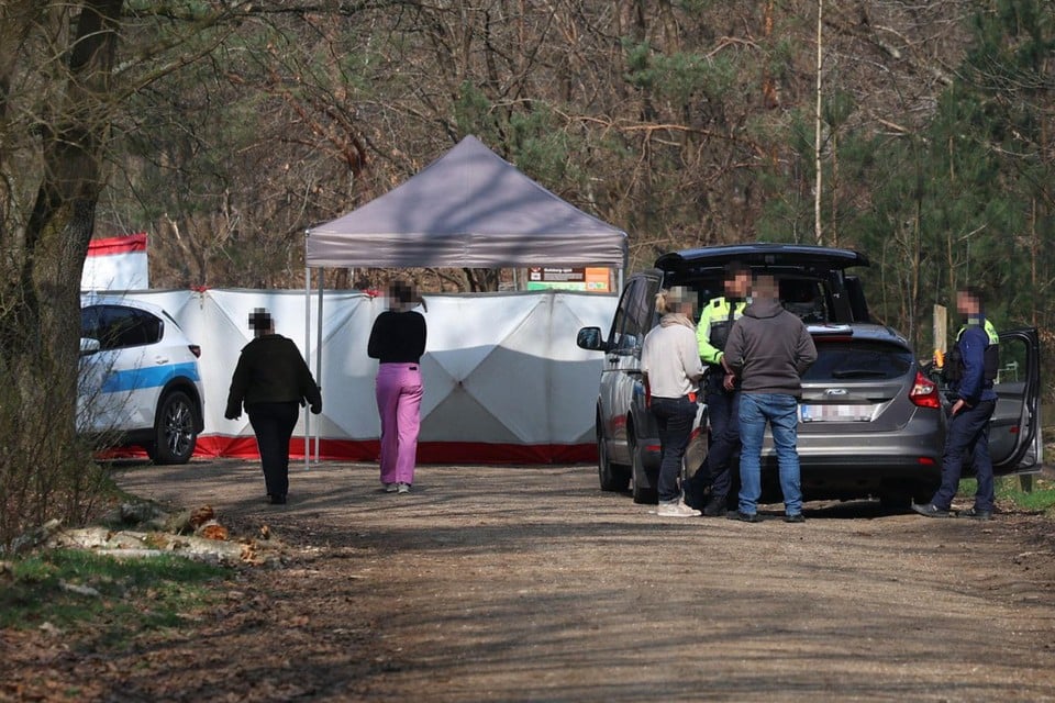 Woman (36) who was arrested after finding body of man (36) in camper, was released (inland)