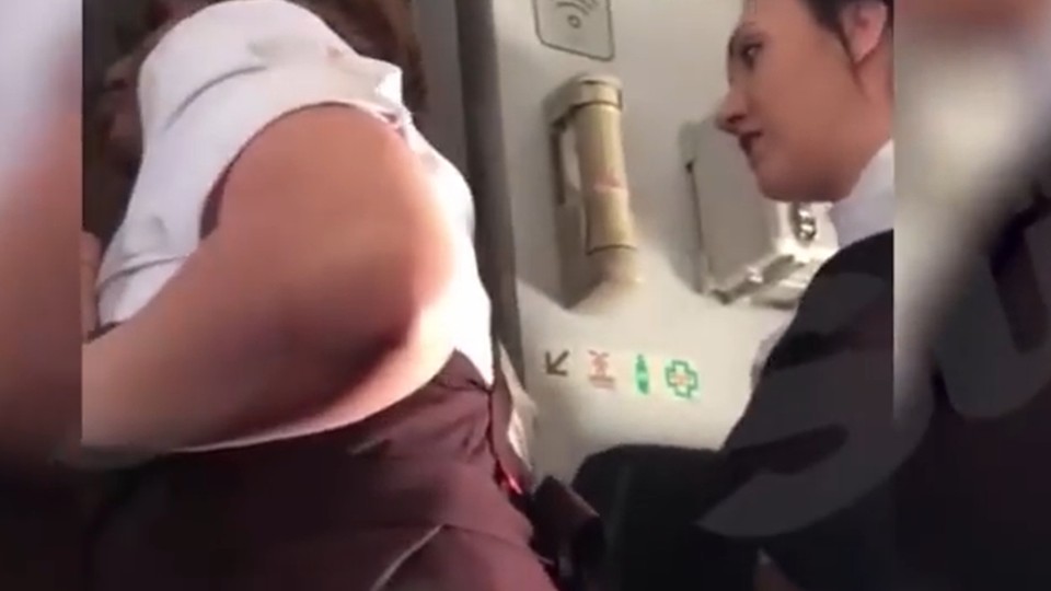Geile stewardess