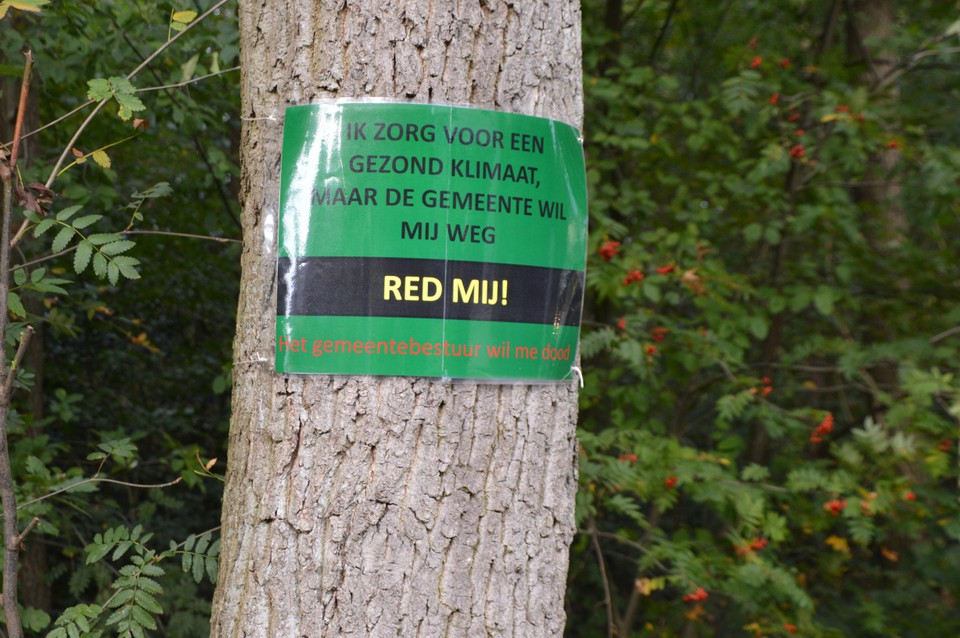 De slogans op de bomen.