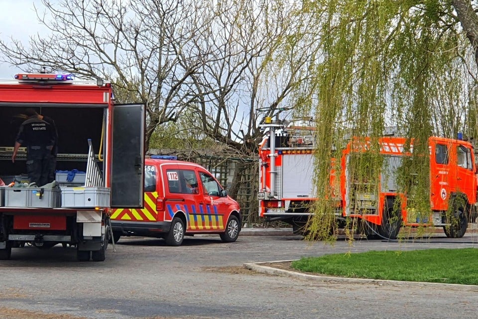 Het DRT-team had twee uur werk op de boerderij in Handzame. 