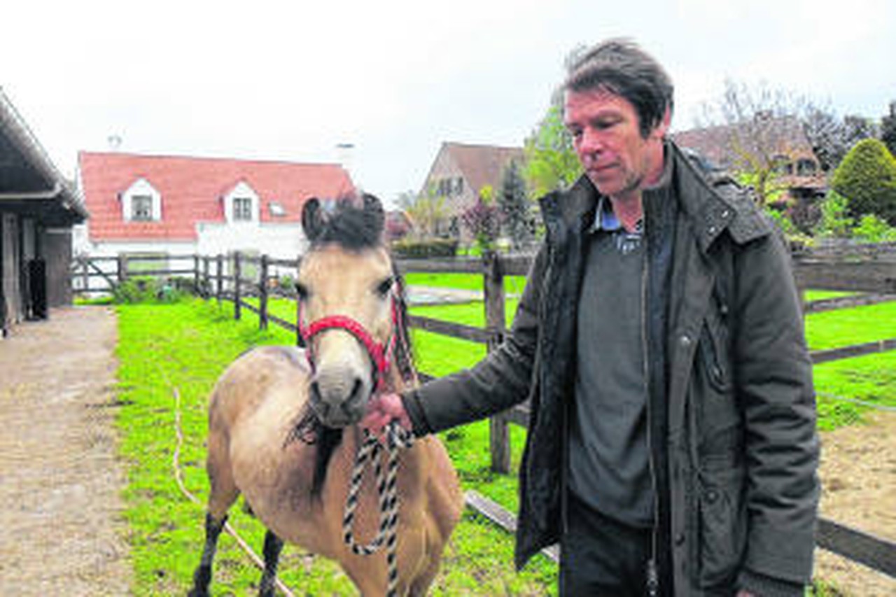 Reizen Spit terwijl Paardenverkoopster lichtte ons op' | Het Nieuwsblad Mobile