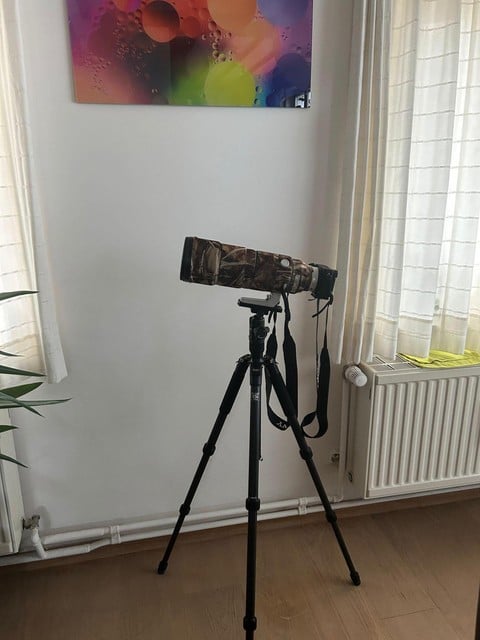 The unique photo was taken with this device with a 600 mm lens and has not been edited.