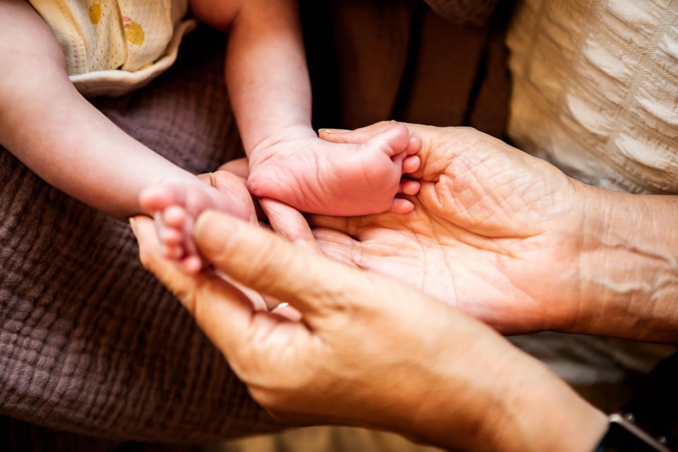 Belgium received nearly 62,000 extra inhabitants in 2024