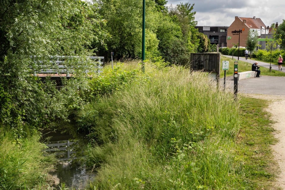 202505, Copyright Kristof Vadino, Water pollution, River, Molenbeek River, Sint-Genesius Rode to Beersel, discharge Waste water, Polluted Water