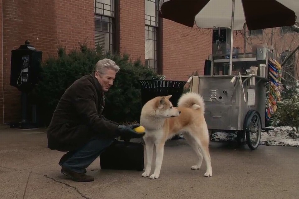 Akita’s zijn vooral bekend van de film Hachi, a dog’s tale met Richard Gere. 