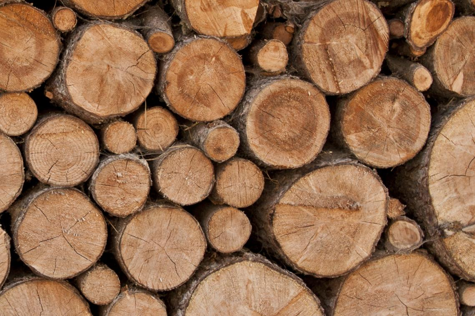 Gelukkig Frank Worthley munitie Prijs voor hout daalt | Het Nieuwsblad Mobile