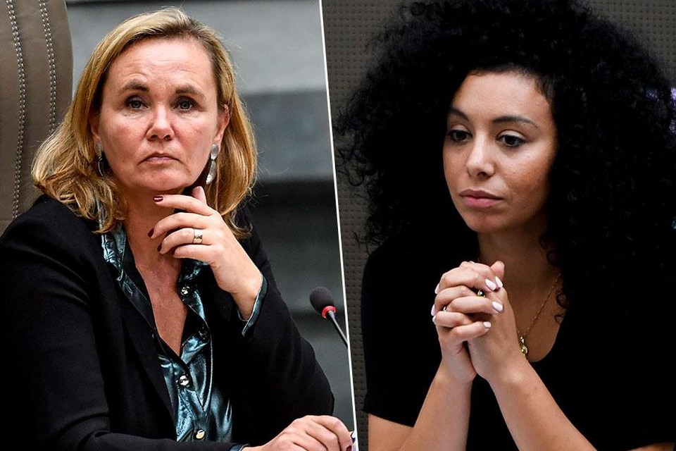 Eind deze maand krijgt voorzitster Liesbeth Homans (N-VA) een rapport dat moet duidelijk maken of de zaak kan worden aangepakt.